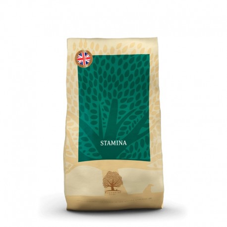 ESSENTIAL STAMINA 10 kg