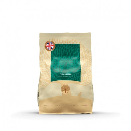 ESSENTIAL STAMINA 2,5KG